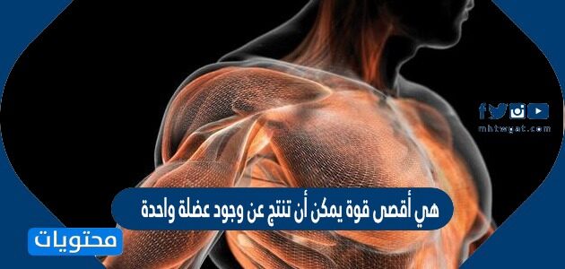 هي أقصى قوة يمكن أن تنتج عن وجود عضلة واحدة أو حتى مجموعة كبيره من العضلات التي توجد في الجسم
