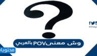 وش معنى pov بالعربي