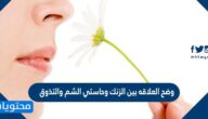 وضح العلاقه بين الزنك وحاستي الشم والتذوق