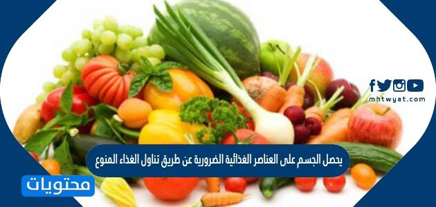 يحصل الجسم على العناصر الغذائية الضرورية عن طريق تناول الغذاء المنوع صح أم خطأ