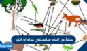 ينشأ عن اتحاد سلسلتي غذاء او اكثر