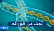 بحث عن الوراثه