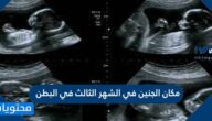 مكان الجنين في الشهر الثالث في البطن