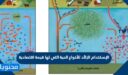 الإستخدام الزائد للأنواع الحية التي لها قيمة اقتصادية