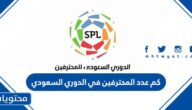 كم عدد المحترفين في الدوري السعودي