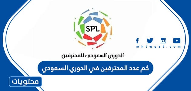 بطل الدوري السعودي جائزة ما هي