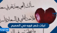 ابيات شعر قويه في الصميم