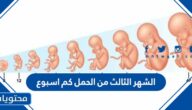 الشهر الثالث من الحمل كم اسبوع