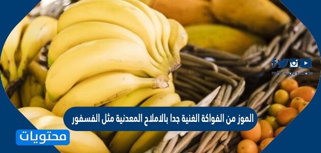 الموز من الفواكة الغنية جدا بالاملاح المعدنية مثل الفسفور صح أم خطأ