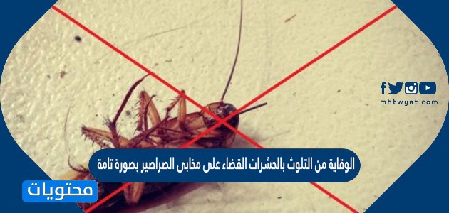 الوقاية من التلوث بالحشرات القضاء على مخابى الصراصير بصورة تامة