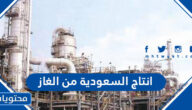 كم يبلغ انتاج السعودية من الغاز يوميا 2025