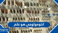 انتومولوجي هو علم