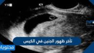 اسباب تأخر ظهور الجنين في الكيس