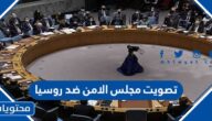 نتائج تصويت مجلس الامن ضد روسيا