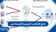 تنتج التراكيب الجنينية الجديدة عن
