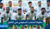 تعرف على حظوظ المنتخب السعودي في التأهل 2022