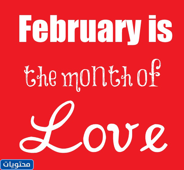 صور عن فبراير شهر الحب