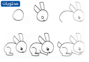 خطوات رسم أرنب