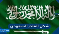 شكل العلم السعودي الجديد 2025