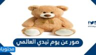 صور عن يوم تيدي العالمي teddy day images