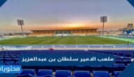 صور ملعب الامير سلطان بن عبدالعزيز