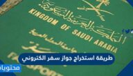 طريقة استخراج جواز سفر الكتروني سعودي 2025
