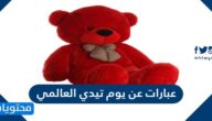 عبارات عن يوم تيدي العالمي happy teddy day