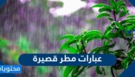 عبارات مطر قصيرة .. اجمل الكلمات والعبارات عن المطر مكتوبة وبالصور