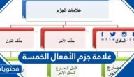 العلامة الإعرابية لخبر ليت في جملة ليت الطائرين كبيران