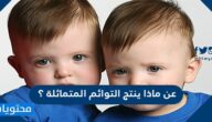 عن ماذا ينتج التوائم المتماثلة ؟