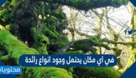 في اي مكان يحتمل وجود انواع رائدة