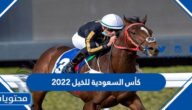كأس السعودية للخيل 2022