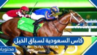 موعد وتفاصيل كاس السعودية لسباق الخيل 2022