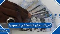 كم راتب دكتور الجامعة في السعودية