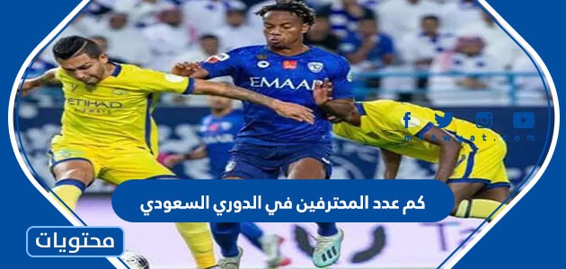 عدد المحترفين في الدوري السعودي