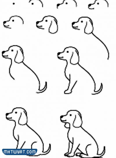 كيفية رسم الحيوانات