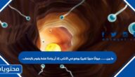 ما بين………………. حيوانًا منويًا تقريبًا يوضع في الأنثى، إلا أن واحدًا فقط يقوم بالإخصاب .
