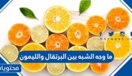 ما وجه الشبه بين البرتقال والليمون