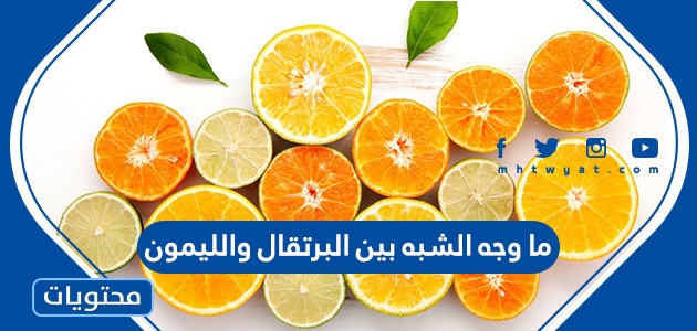 ما وجه الشبه بين البرتقال والليمون
