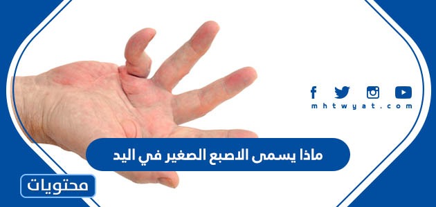 ماذا يسمى الاصبع الصغير في اليد