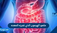 ماهو الهرمون الذي تفرزه المعده