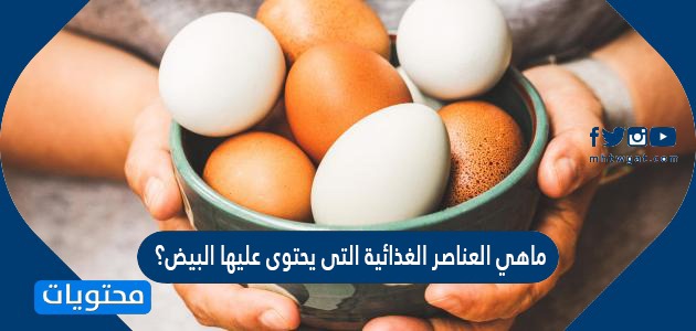 ماهي العناصر الغذائية التى يحتوى عليها البيض؟