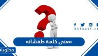 معنى كلمة طفشانه