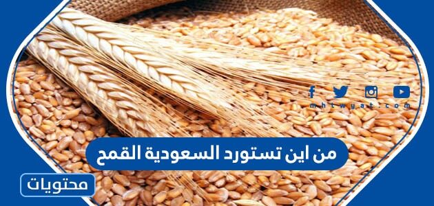 من اين تستورد السعودية القمح