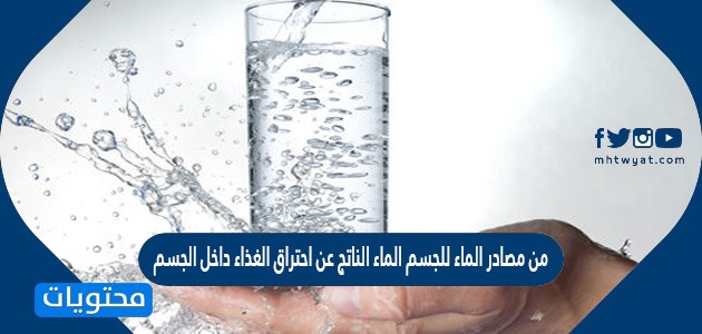 من مصادر الماء للجسم الماء الناتج عن احتراق الغذاء داخل الجسم صح أم خطأ