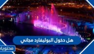 هل دخول البوليفارد مجاني