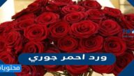صور باقات ورد احمر جوري مع دبدوب ليوم الحب 2025