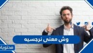 وش معنى نرجسيه
