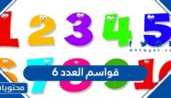 قواسم العدد ٦