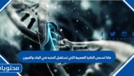 ماذا تسمى الخلايا العصبية التي تستقبل المنبه في الجلد والعيون